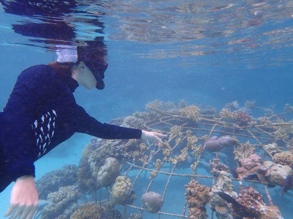 WiseOceans Marine Educator and Biologist Louise undertaking Coral Reef Restoration Work, Bora Bora, French Polynesia