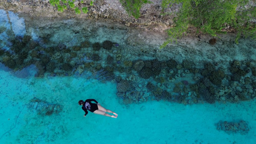 WiseOceans snorkeler in lagoon