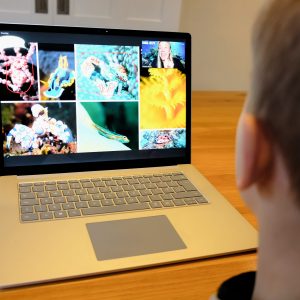 Public school session