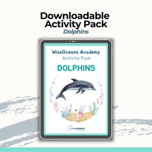 Downloadable Educational Ocean Activity Pack - Dolphins Themed