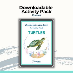Downloadable Educational Ocean Activity Pack - Turtles Themed