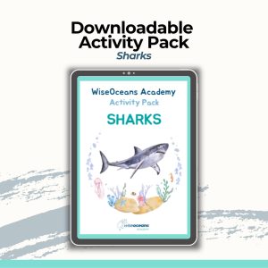 Downloadable Educational Ocean Activity Pack - Shark Themed