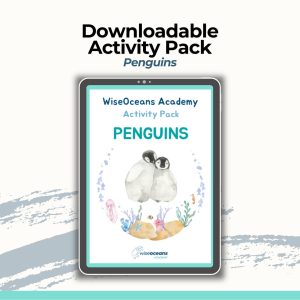 Downloadable Educational Ocean Activity Pack - Penguins Themed