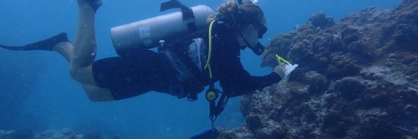 Ashley Harding SCUBA diving