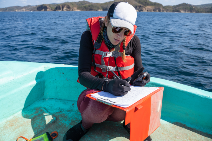 Marine biologist undertaking boat survey