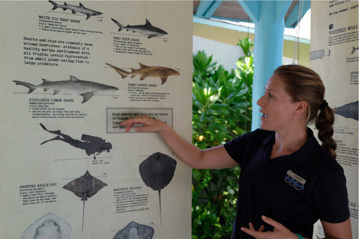 Hannah teaching about sharks 