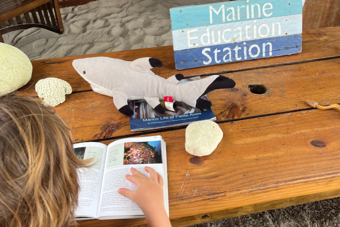 A leaner reading a book about the sea