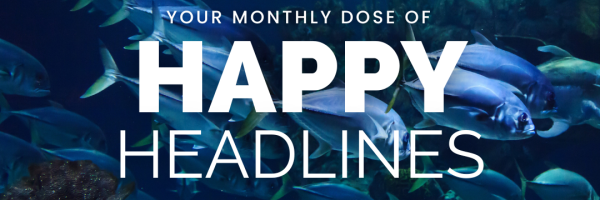 WiseOceans Happy Headlines