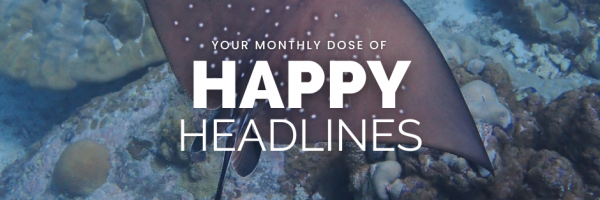 Happy Headlines Title Page - Spotted Ray