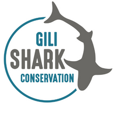Gili Shark Conservation Logo