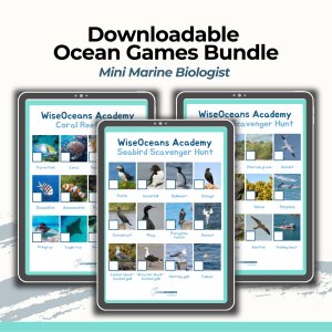 games bundle
