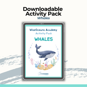 Downloadable Educational Ocean Activity Pack - Whales Themed