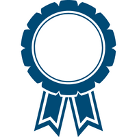 Professionalism Value Icon