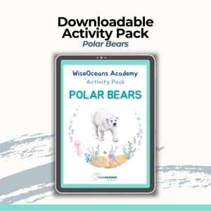 Downloadable Educational Ocean Activity Pack - Polar Bears Themed